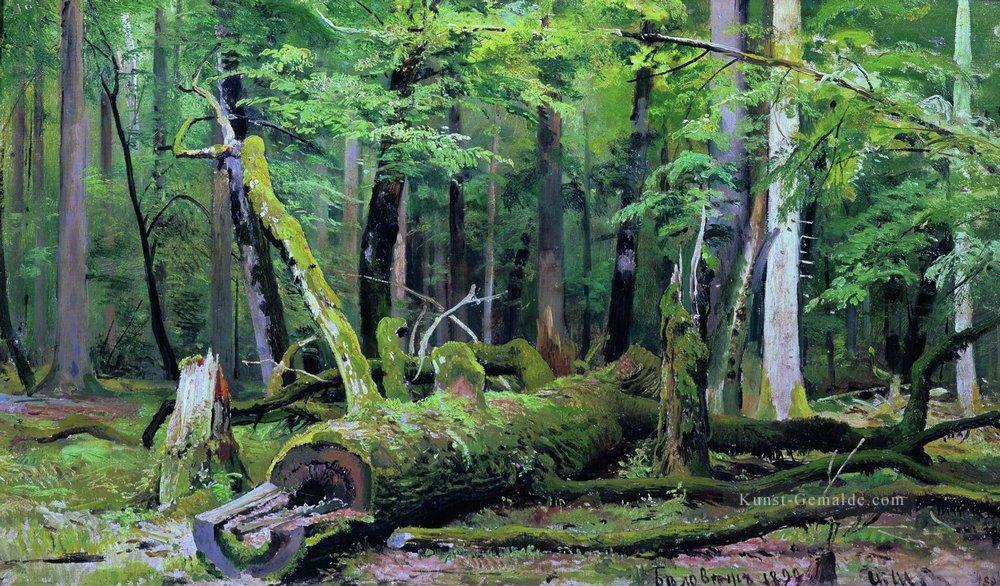 gefällt Eiche im bialowiezka Wald 1892 klassische Landschaft Ivan Ivanovich Bäume Ölgemälde
